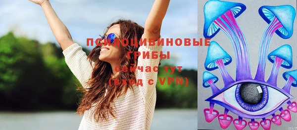 твердый Верея